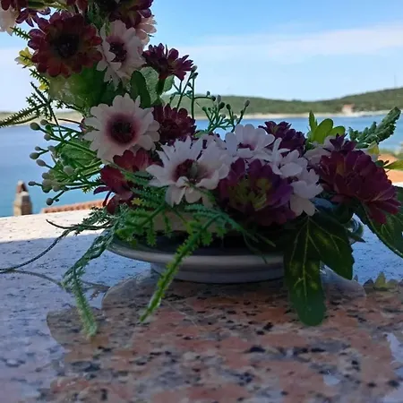Julia - Triple Julia 4 * Martinšćica